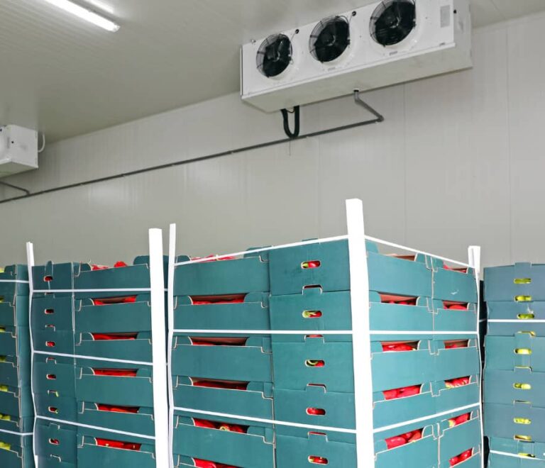 Designing Ammonia-Based Cooling Systems for Large Cold Storages